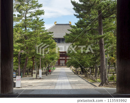 東大寺大佛殿參道景觀 113593992