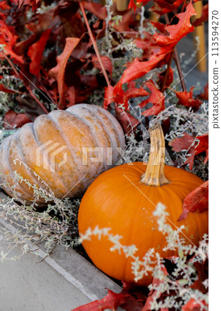 Exterior Beautiful cozy atmospheric halloween pumpkins decorated on porch. Autumn leaves and fall flowers holiday Thanksgiving October season outdoors in city 113594270