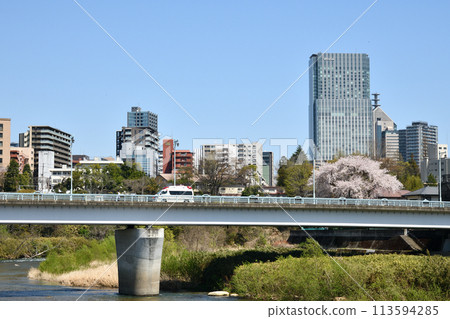 Cherry blossoms in Sendai 113594285