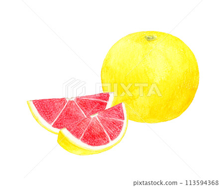 水果切粉紅柚子手繪水彩插畫素材 水果切粉紅柚子手繪水彩插畫素材 113594368
