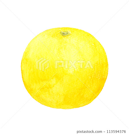 Grapefruit - Hand-drawn watercolor illustration of fruit Grapefruit - Hand-drawn watercolor illustration of fruit 113594376