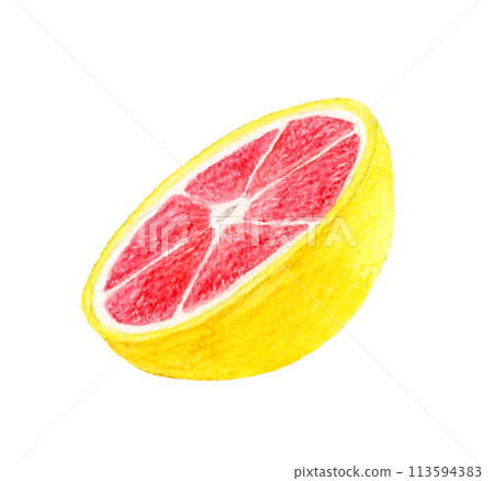 粉紅葡萄柚切成兩半 — 手繪水彩水果插圖 113594383