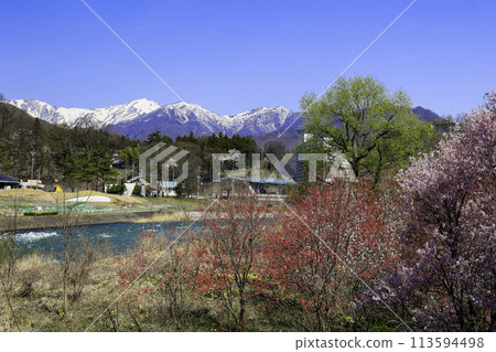 Peach blossoms, cherry blossoms and the Tanigawa mountain range Peach blossoms, cherry blossoms and the Tanigawa mountain range 113594498