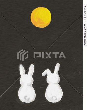 Hand-drawn illustration of a rabbit watching the moon Hand-drawn illustration of a rabbit watching the moon 113594572