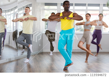Group of people dancing modern dances 113594672