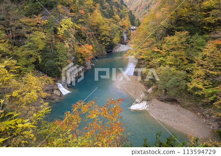 The folk valley of autumnal leaves 113594729