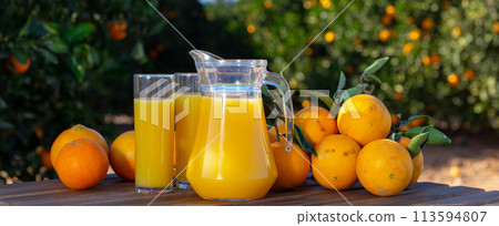 Orange juice and fresh fruits 113594807