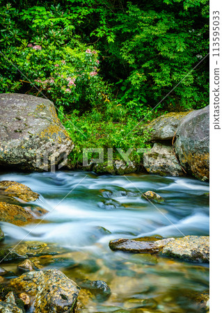 Small creek in Maggie Valley 113595033