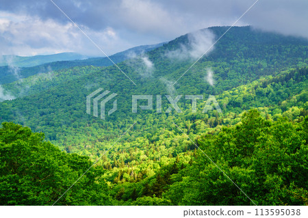 Smokies overlook Smokies overlook 113595038