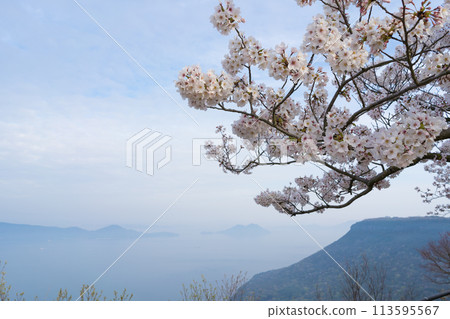 瀨戶內海的櫻花(從香川縣高松市屋島山頂眺望) 瀨戶內海的櫻花(從香川縣高松市屋島山頂眺望) 113595567