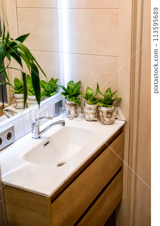 Sansevieria flowers in pots standing on sink as a bathroom decoration 113595689