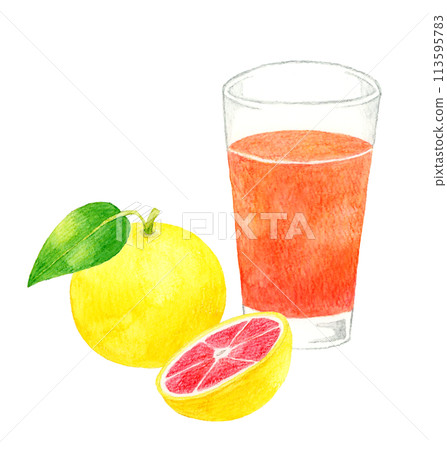 Grapefruit juice (pink grapefruit) Hand-drawn watercolor illustration of a drink Grapefruit juice (pink grapefruit) Hand-drawn watercolor illustration of a drink 113595783
