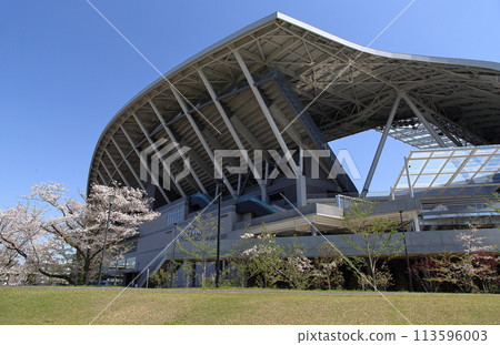 Edion Peace Wing Hiroshima 113596003