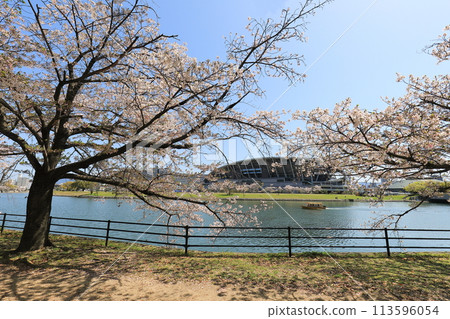 Edion Peace Wing Hiroshima Edion Peace Wing Hiroshima 113596054