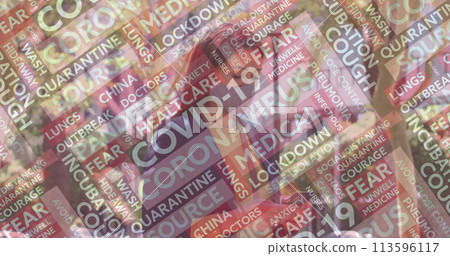 Image of covid 19 text over woman using smartphone wearing face mask 113596117