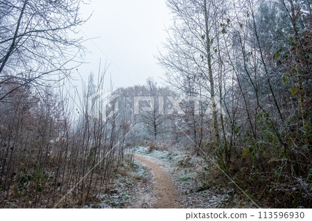 Frosty Morning Trek Frosty Morning Trek 113596930