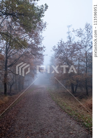 Mystic Autumn: A Path to the Unknown Mystic Autumn: A Path to the Unknown 113596951
