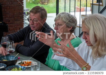 Engaged Senior Friends in Discussion Over Dinner with Wine Engaged Senior Friends in Discussion Over Dinner with Wine 113596970
