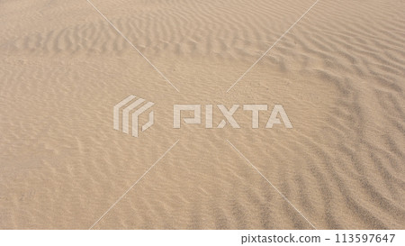 Fumon made of sandstorm (Tottori Sand Dunes) 113597647