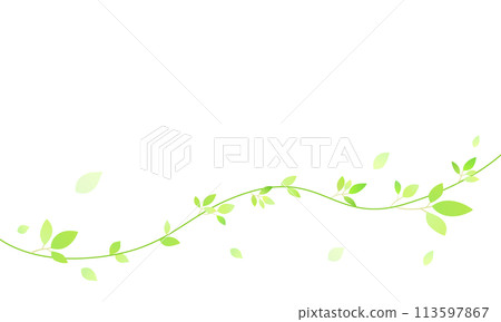 fresh green frame 113597867