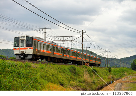 Four 311 series local trains running on the Tokaido Main Line 113597905