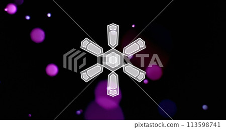 Image of snowflake christmas decorations on purple background 113598741
