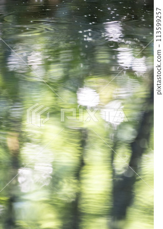 Summer colors reflected on the water surface, Oku-Daisen 113599257