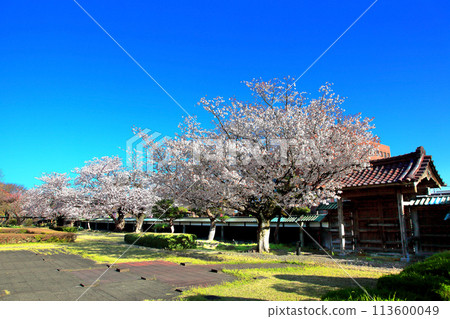 國家指定古蹟莊內藩學堂知道館 國家指定古蹟莊內藩學堂知道館 113600049