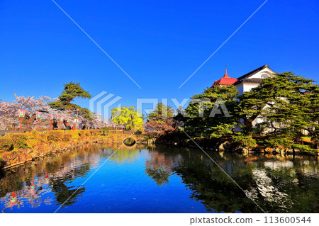 Tsuruoka Park: One of Japan's Top 100 Cherry Blossom Spots 113600544