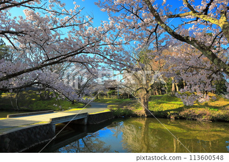 日本賞櫻名所100選 鶴岡公園 日本賞櫻名所100選 鶴岡公園 113600548