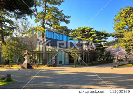 日本賞櫻名所100選 鶴岡公園 日本賞櫻名所100選 鶴岡公園 113600559