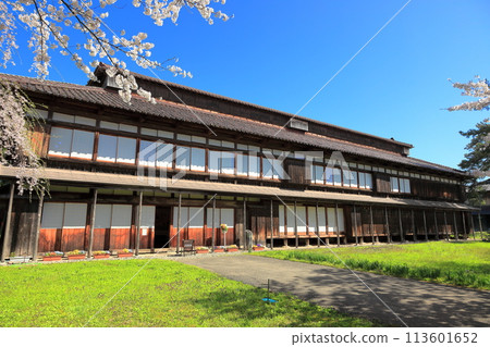 松岡鄉村公園 松岡栽培田櫻花樹 113601652