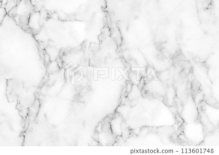 White marble texture background pattern with high resolution. White marble texture background pattern with high resolution. 113601748