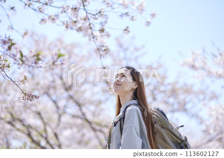 春天賞櫻花的女性入境背包客 113602127