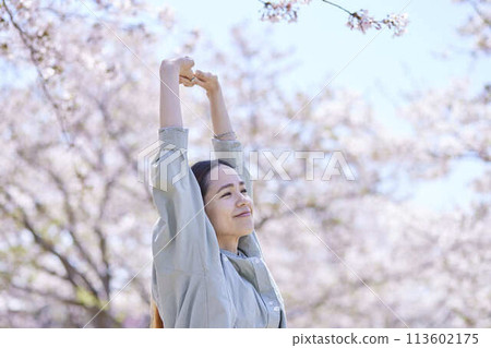 A female inbound tourist stretching under the spring cherry blossoms 113602175