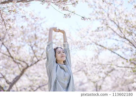 春天，一位女性入境遊客在櫻花下伸展身體 113602180