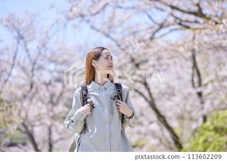 Spring cherry blossoms and inbound backpacker woman 113602209
