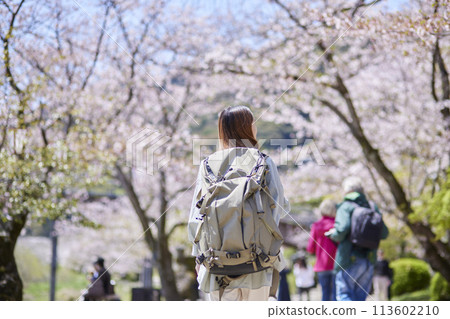 Spring cherry blossoms and inbound backpacker woman Spring cherry blossoms and inbound backpacker woman 113602210