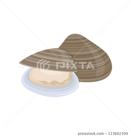 Fresh seafood ingredient clams cartoon vector isolated illustration Fresh seafood ingredient clams cartoon vector isolated illustration 113602309