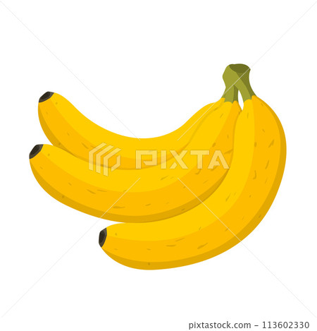 Fresh fruit a bunch of banana cartoon vector isolated illustration Fresh fruit a bunch of banana cartoon vector isolated illustration 113602330