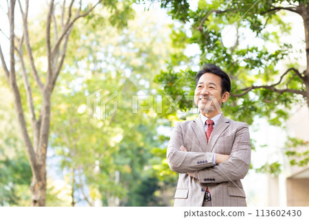 Businessman, fresh green, portrait, arms crossed Businessman, fresh green, portrait, arms crossed 113602430
