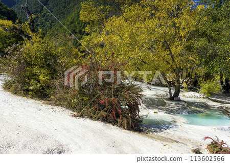 中國雲南 - 海穗石灰岩貨架/白水台，中國雲南 113602566