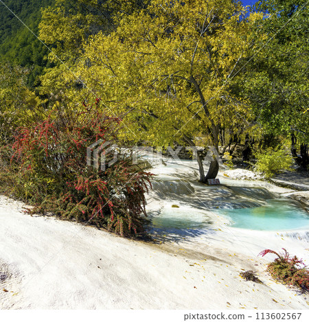 China's Yunnan-Haisui Limestone Shelf / Baishuitai, Yunnan, China 113602567