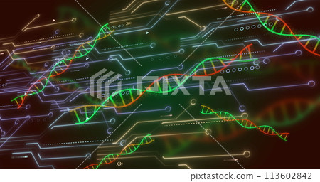 Image of medical data processing over dark background 113602842