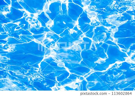 游泳池的表面 113602864