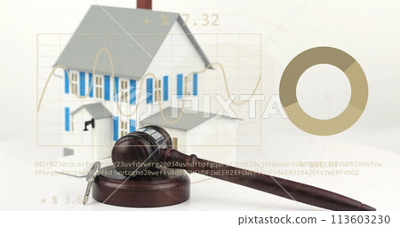 Image of statistics and data processing over house model 113603230