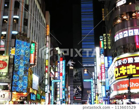 Kabukicho at night Kabukicho at night 113603529