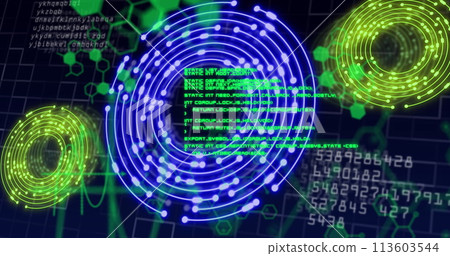 Image of data processing over network of connections Image of data processing over network of connections 113603544