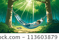 A boy sleeping in a hammock in the sunlight 113603879