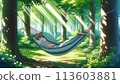 A boy sleeping in a hammock in the sunlight 113603881